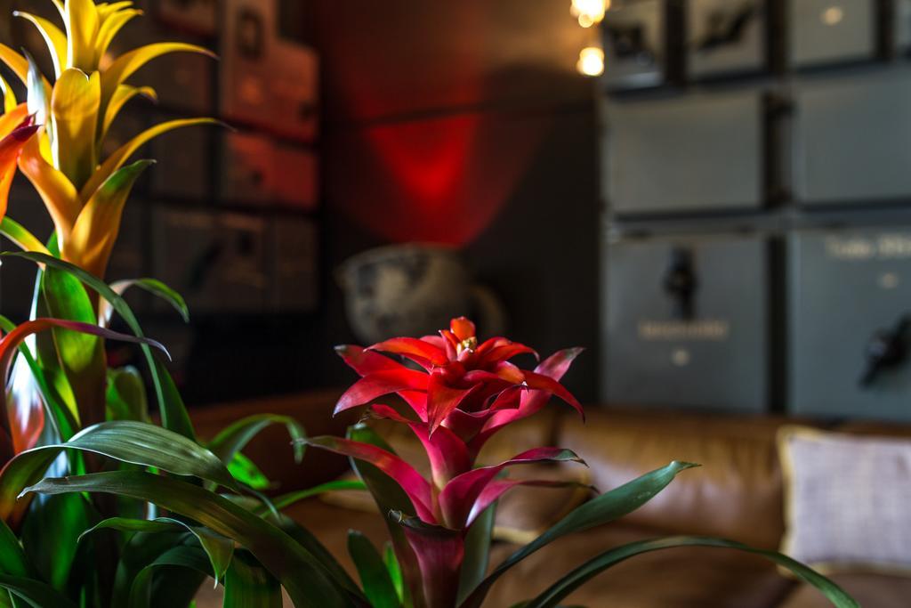 Speicher7 Hotel Mannheim Luaran gambar